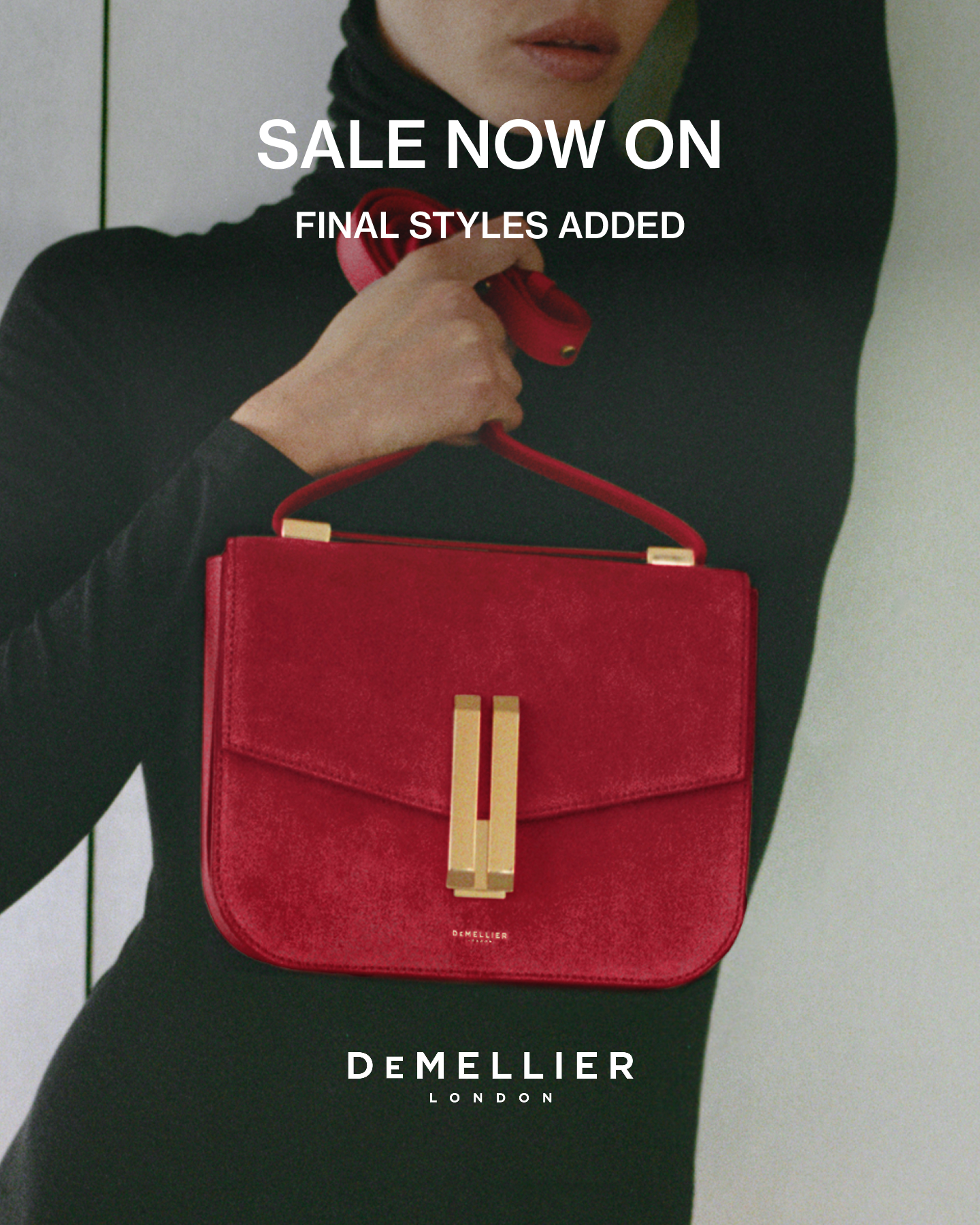 DeMellier Facebook ad