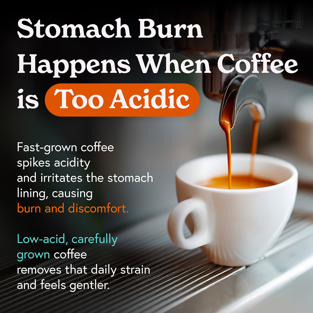 Fabula Coffee Facebook ad