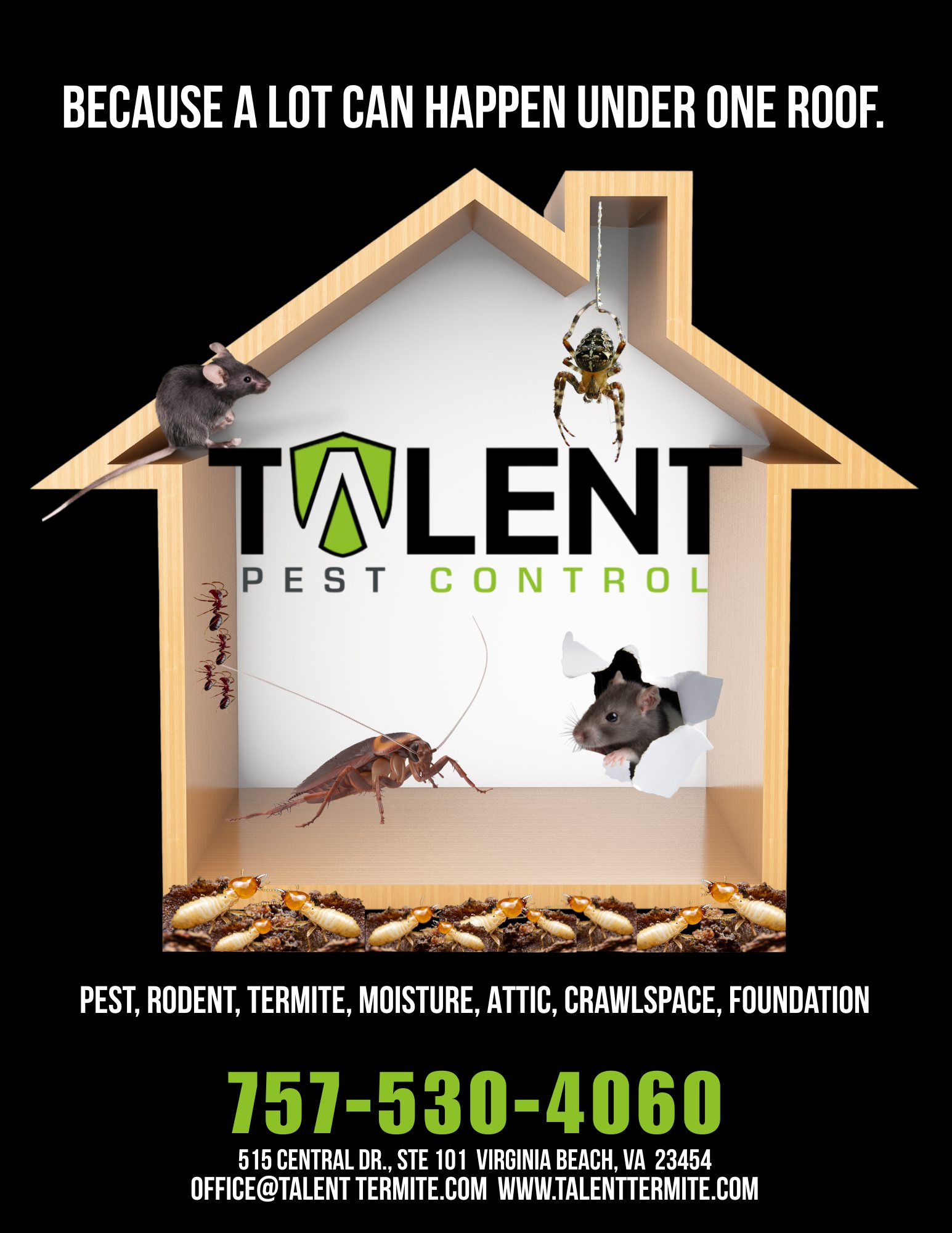 Talent Termite Facebook ad: Book Inspection