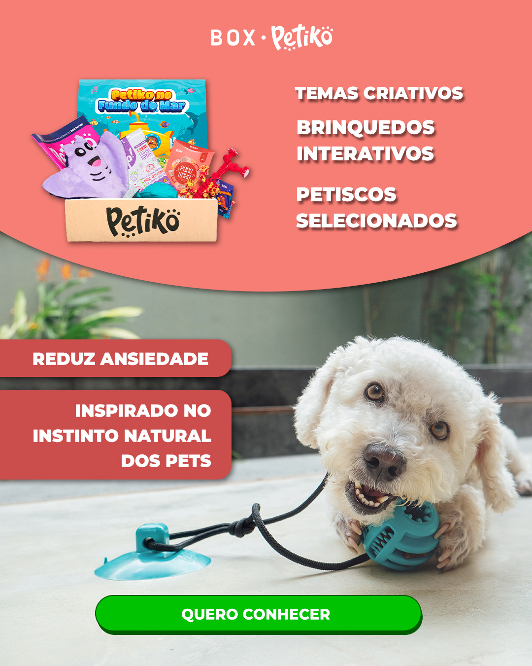 Petiko Facebook ad from Jul 23, 2025