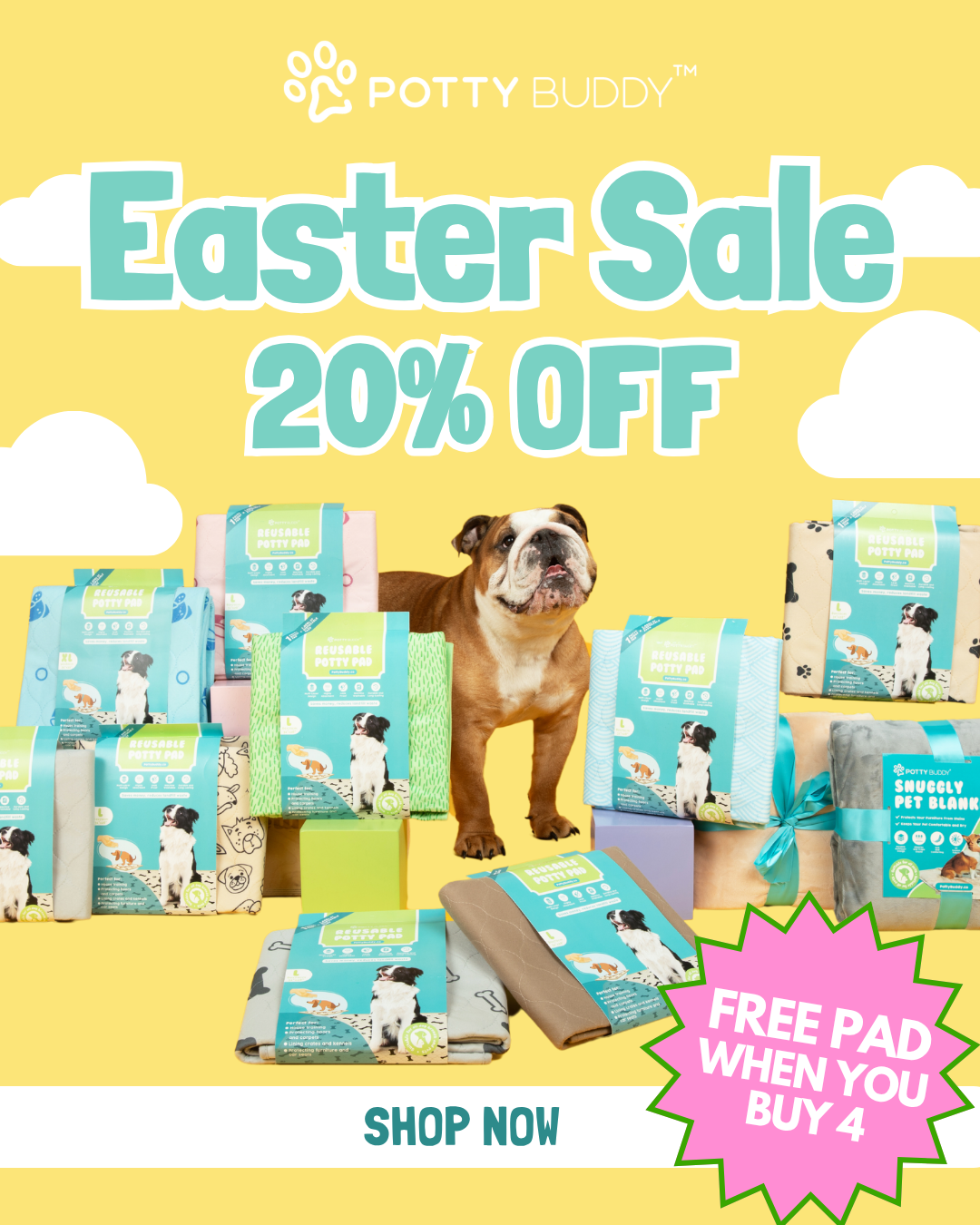 Potty Buddy Facebook ad