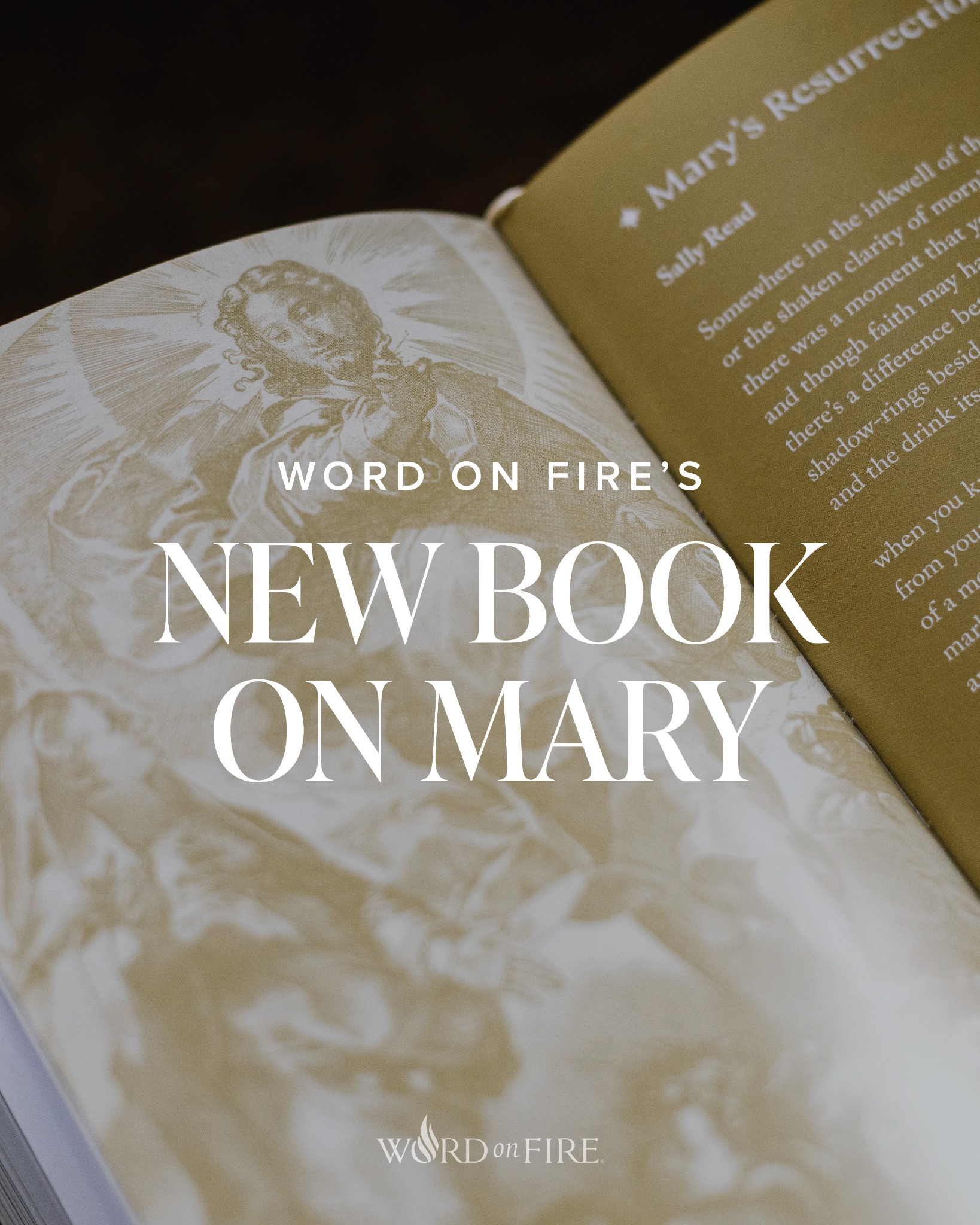 Word on Fire Catholic Ministries Facebook ad