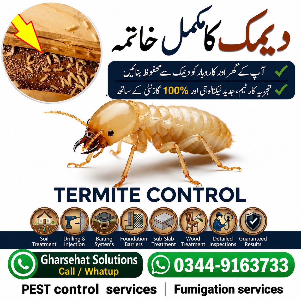 Gharsehat Solutions Facebook ad: دیمک سے پریشان؟