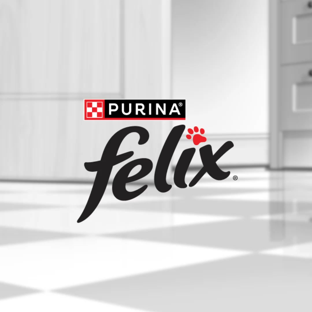 Purina Felix Facebook ad: Tu gato no podrá resistirse