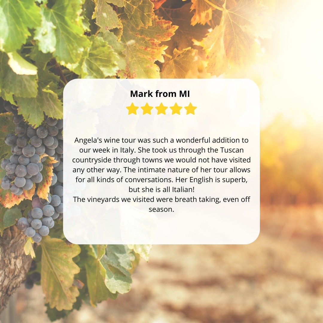 Tuscany Tour Time Facebook ad: Stroll through picturesque vineyards, feel the stress of…