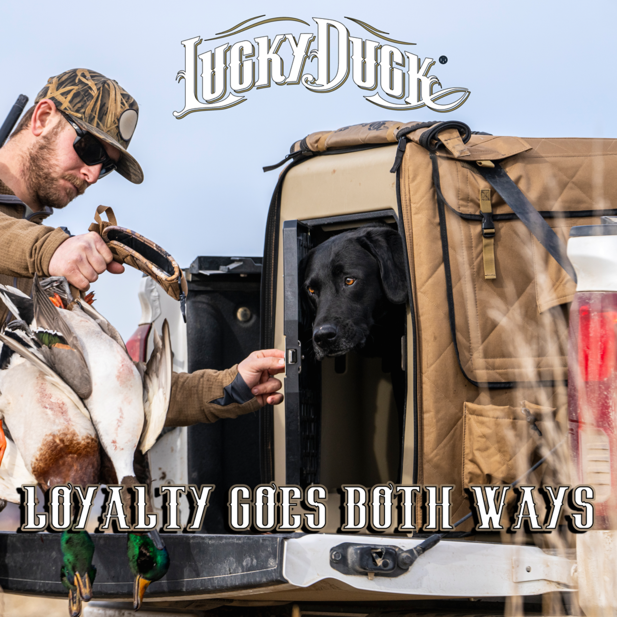 Lucky Duck Premium Decoys Facebook ad: Made for Hunting Dogs