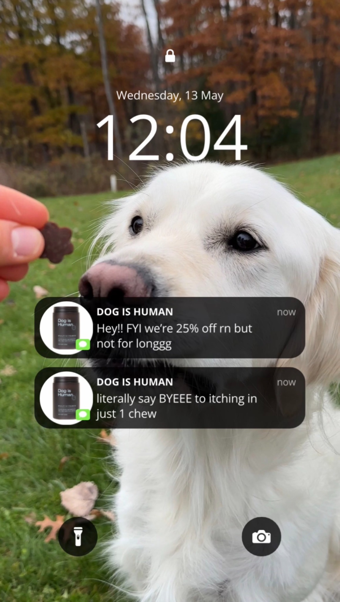 Dog is Human Facebook ad