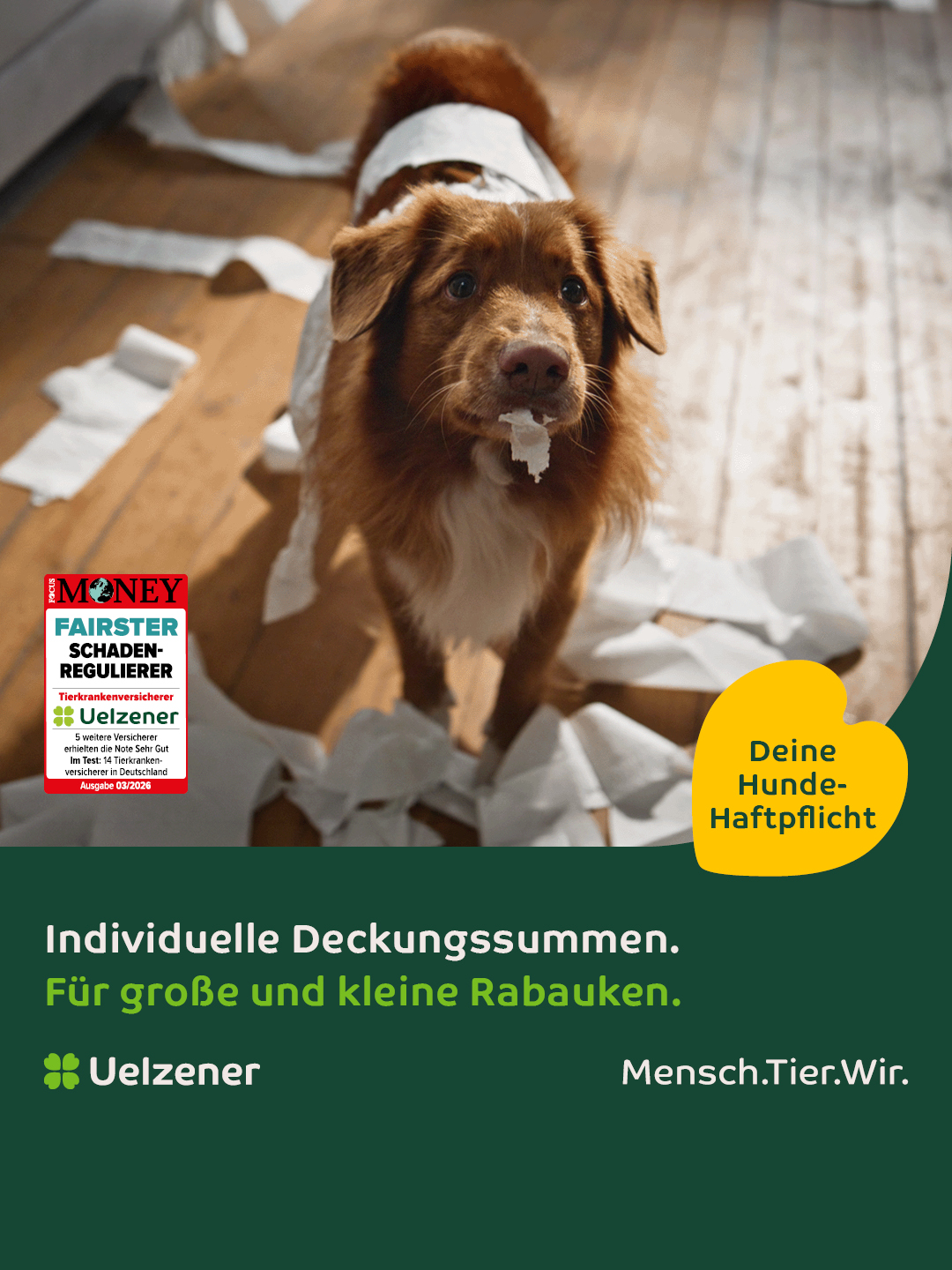 Uelzener Versicherungen Facebook ad: Schutz für Fellnasen!