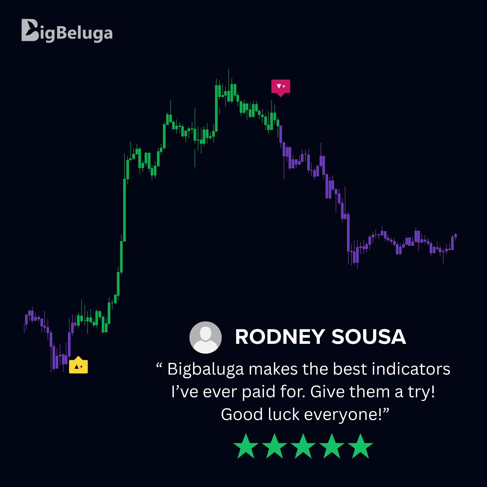 Bigbeluga Facebook ad