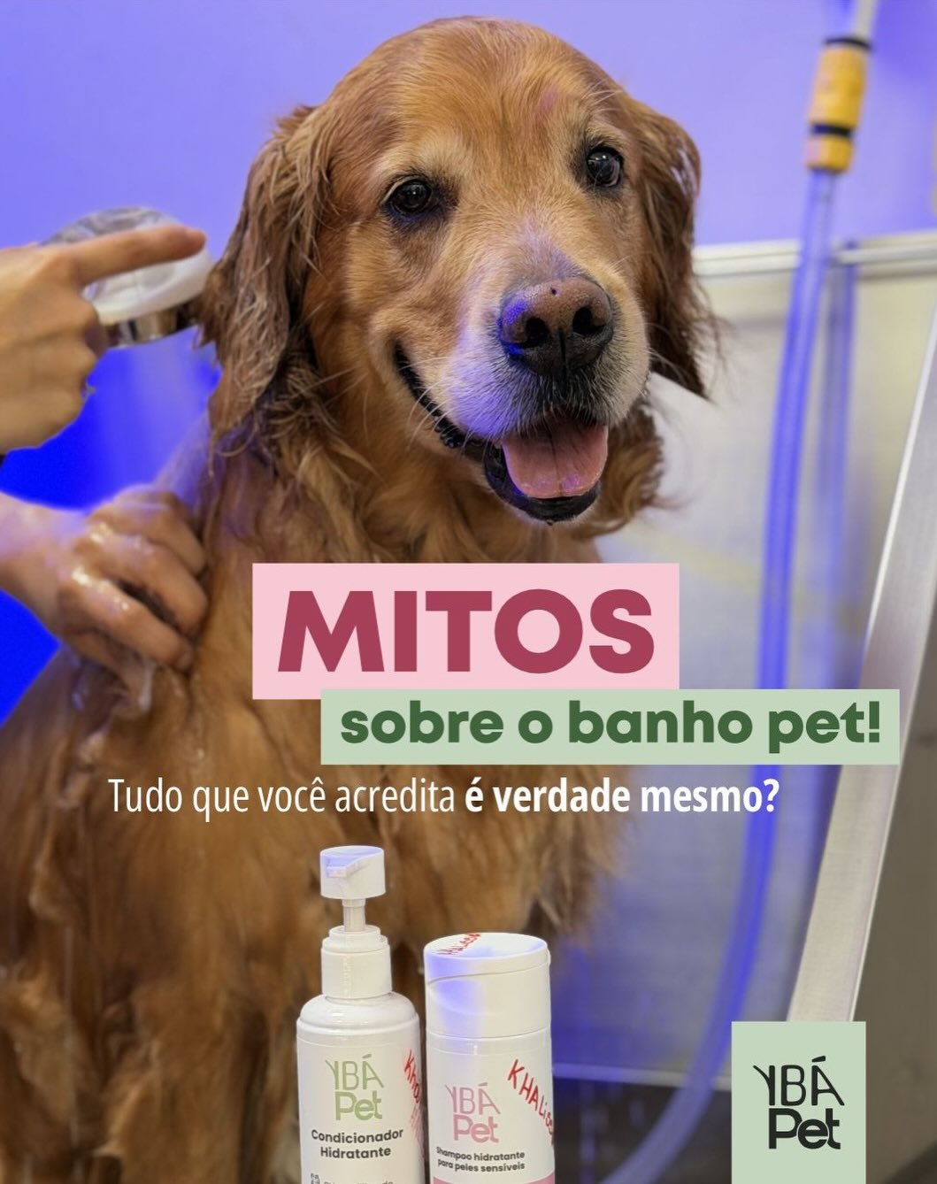 Ybá PET Facebook ad: Será que tudo o que você acredita sobre…