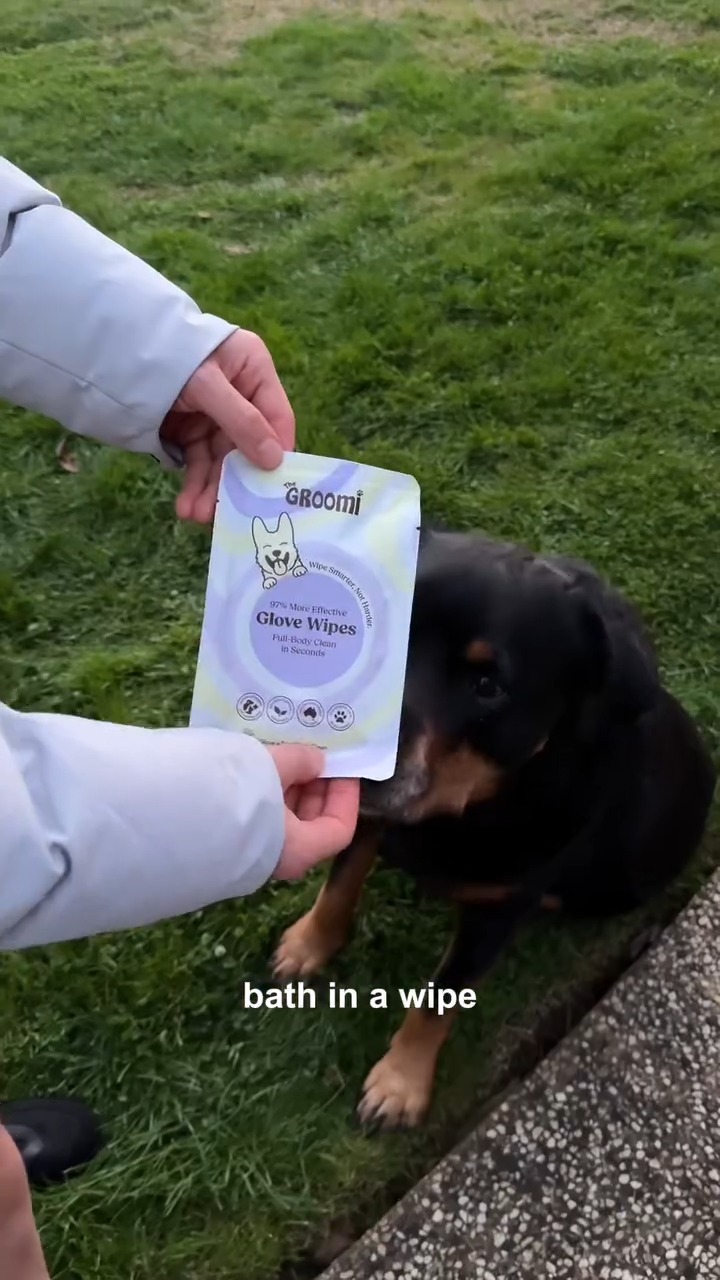 The Groomi Mobile - Aussie Groomers Facebook ad: You washed your dog yesterday.