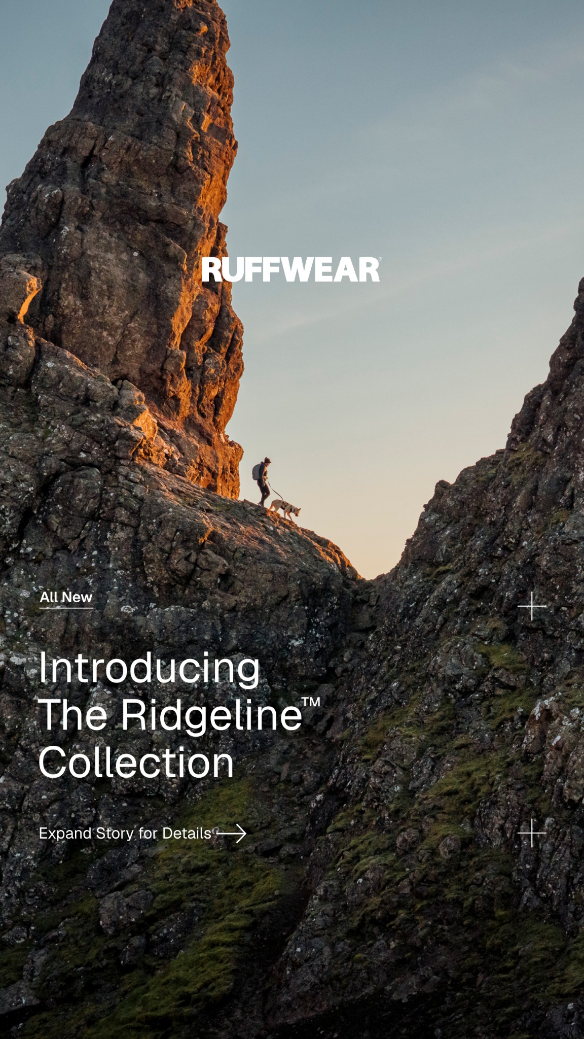 Ruffwear Facebook ad