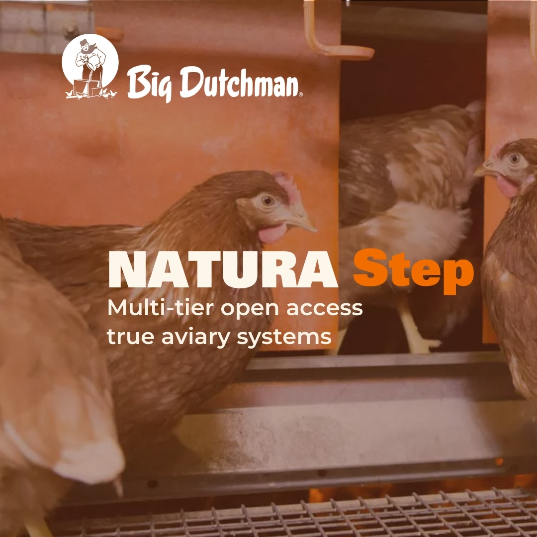 Big Dutchman Malaysia Facebook ad
