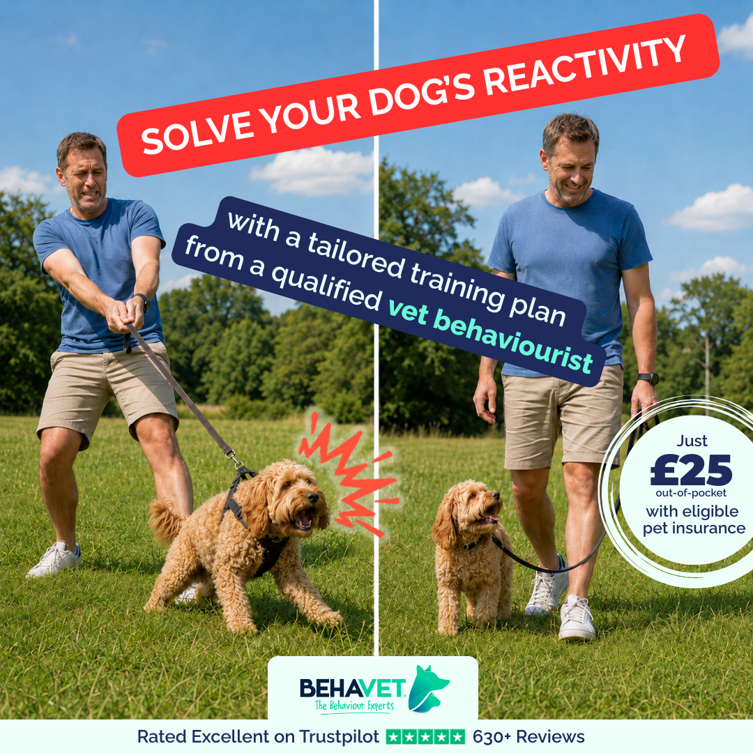 Behavet: The Pet Behaviour Experts Facebook ad