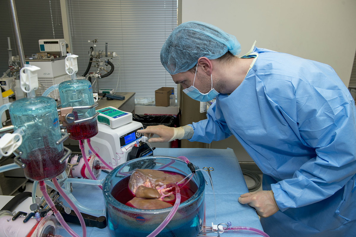 Dr. Cody Miller - Gastroenterologists Facebook ad