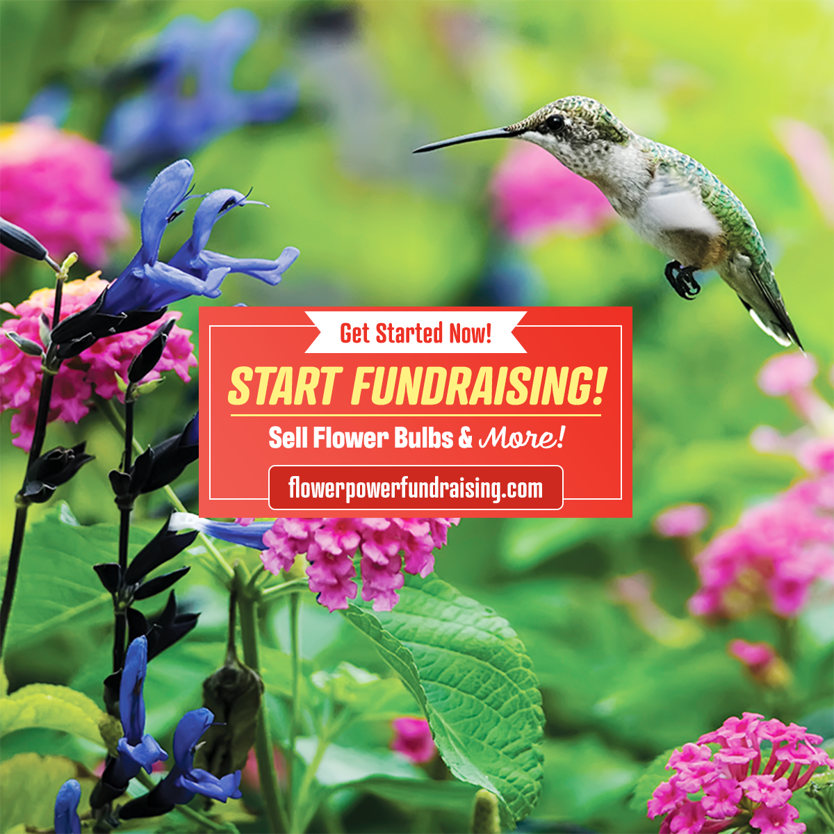 Flower Power Fundraising Facebook ad