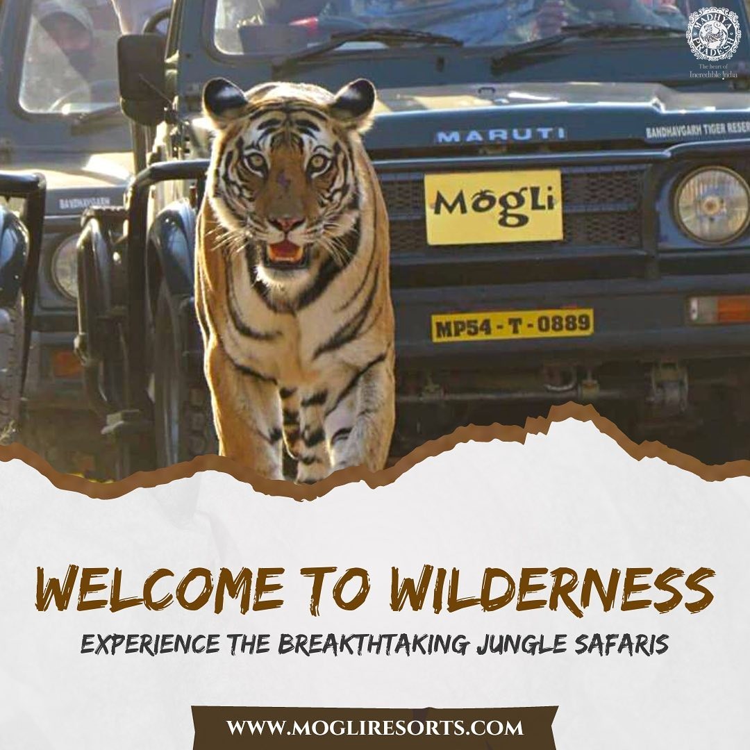 Mogli Resorts, Bandhavgarh Facebook ad