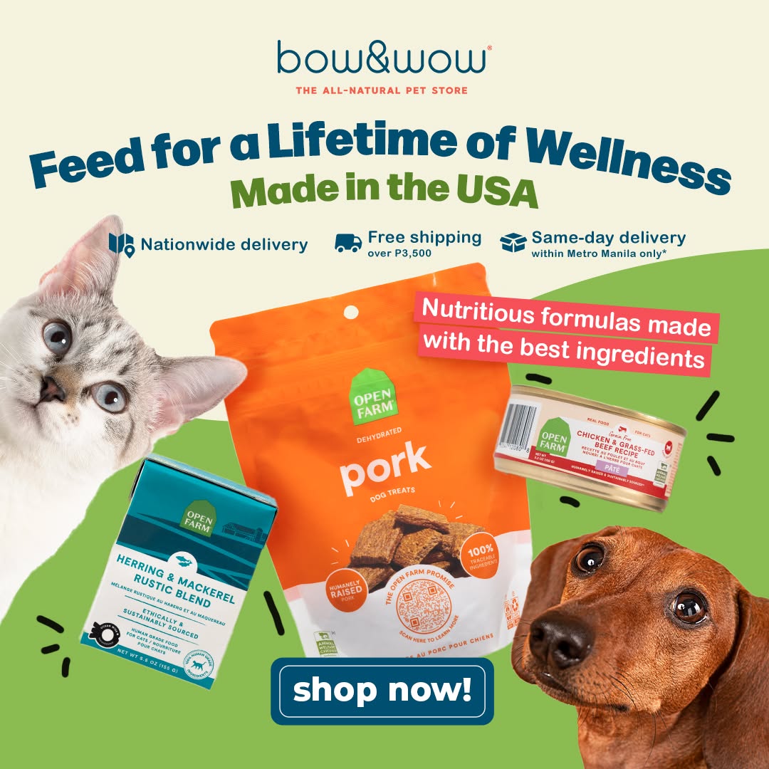 Bow & Wow – The All-Natural Pet Store Facebook ad