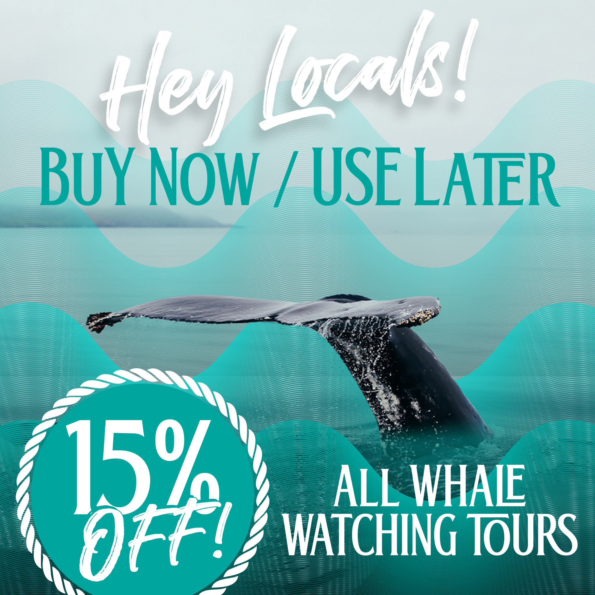 White Rock Sea Tours Facebook ad: LOCALS πππ ππ% ππ
π
WITH CODE πππππππ