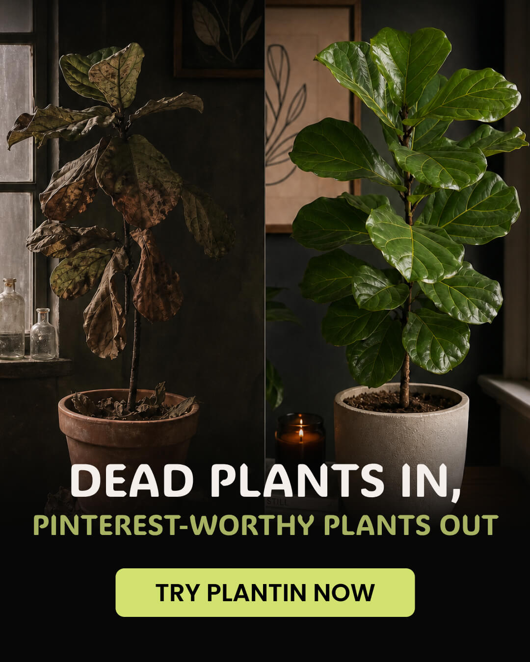 PlantIn AI: Never Kill Your Plants Facebook ad: Become a Plant Pro easily with PlantIn!