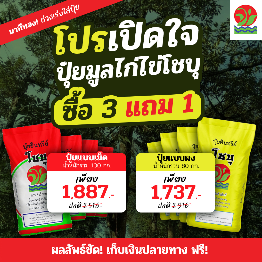 โชบุ ปุ๋ยที่ดีที่สุด เพจบริษัท Facebook ad