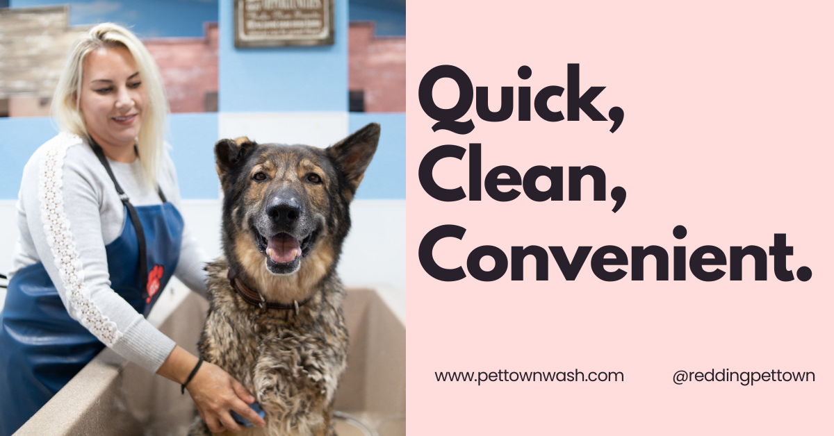 Pet Town Self-Serve Pet Wash & Supply - Redding Facebook ad