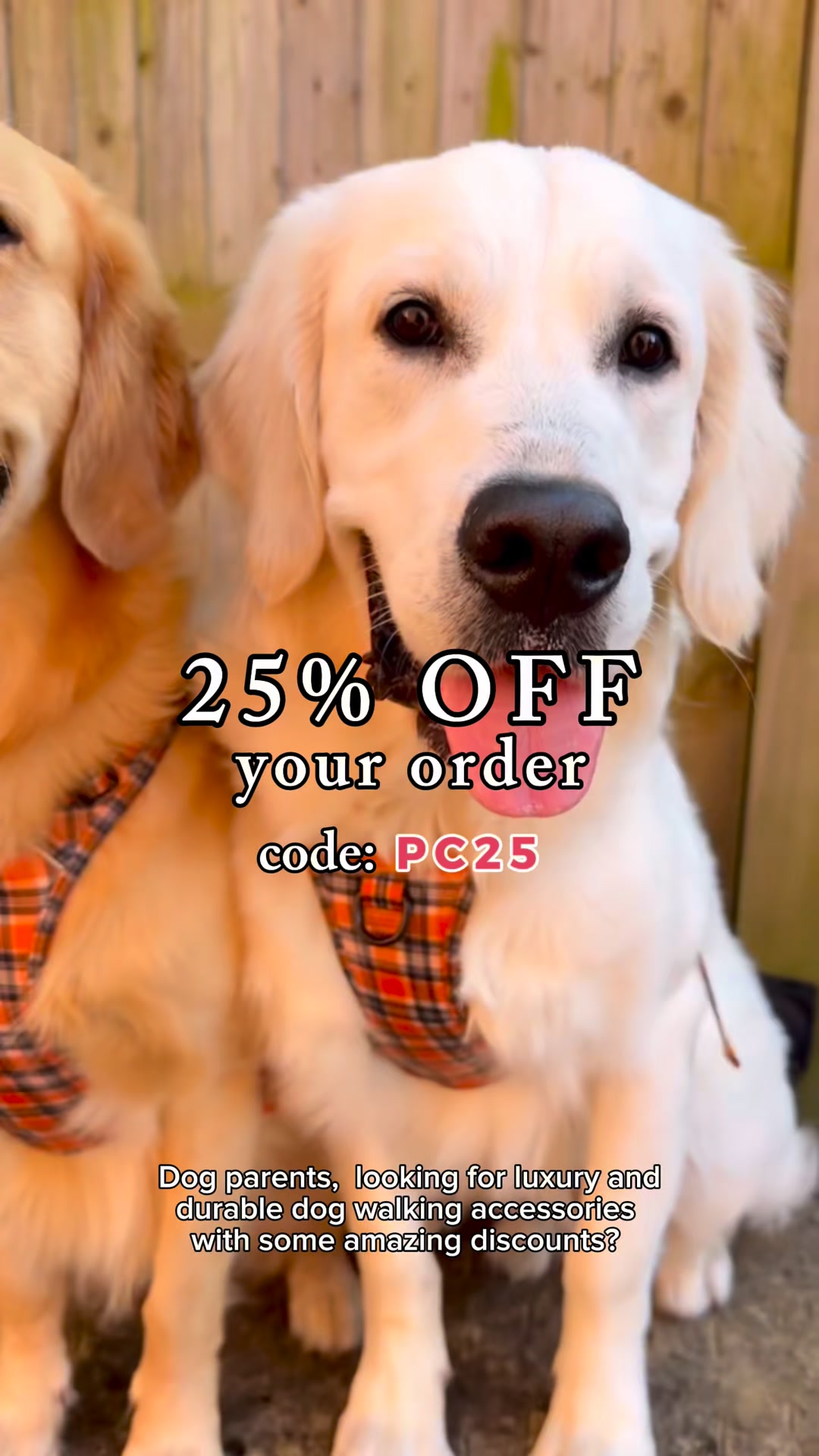 Paw Couture Facebook ad: Luxury Dog Accessories at Affordable Prices