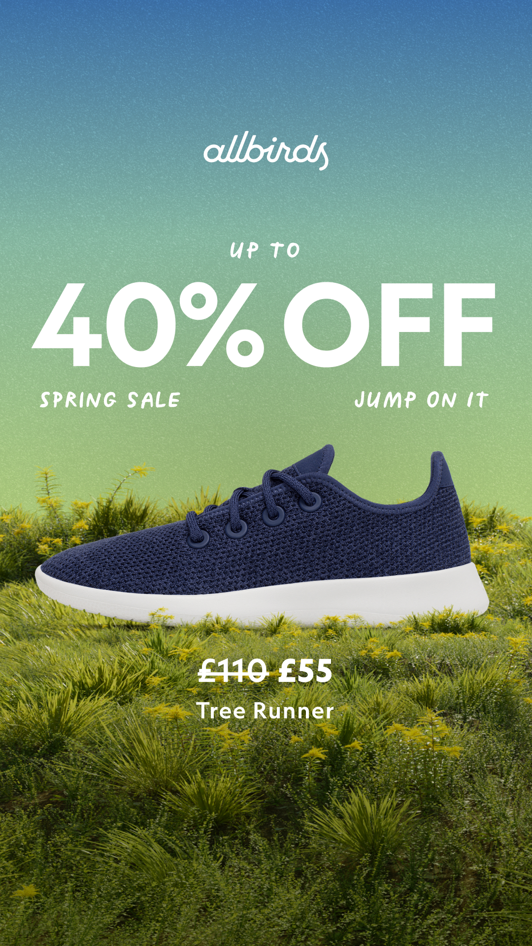 Allbirds Facebook ad