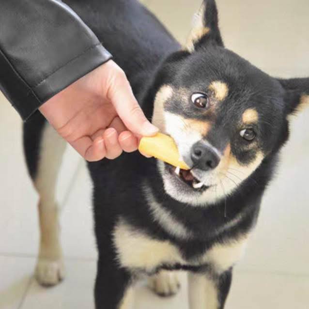Coca pet store Facebook ad: ចំណីសត្វសុនកឆ្ងាញ់ៗមានច្រេីនប្រភេទឆ្ងាញ់ៗ…