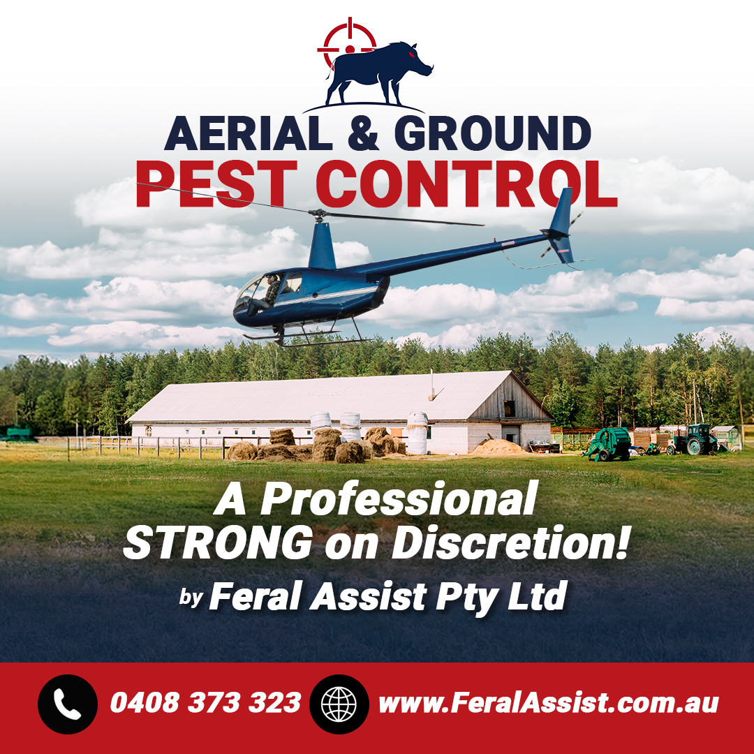 Feral Assist Facebook ad: Safe, Effective Pest Control