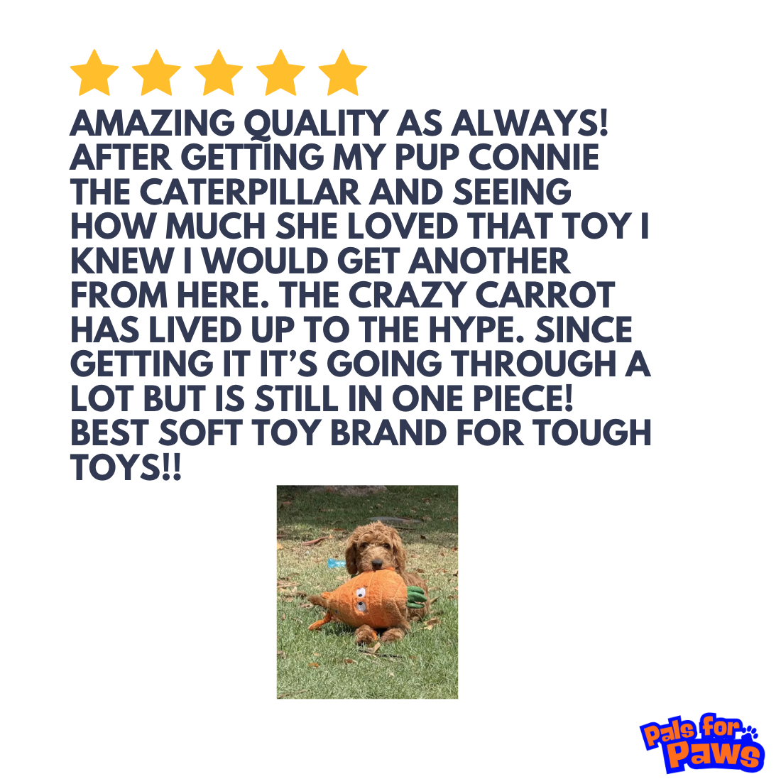 Pals for Paws Facebook ad: Fun dog toys inside