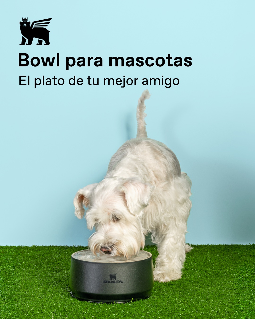 Stanley Bolivia Facebook ad