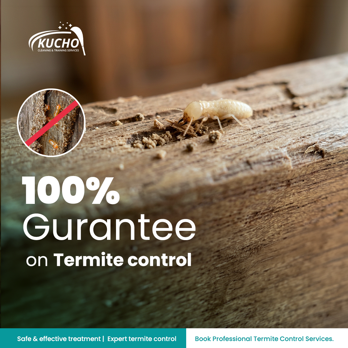 Kucho Cleaning Services Facebook ad: 100% Guaranteed Termite Treatment