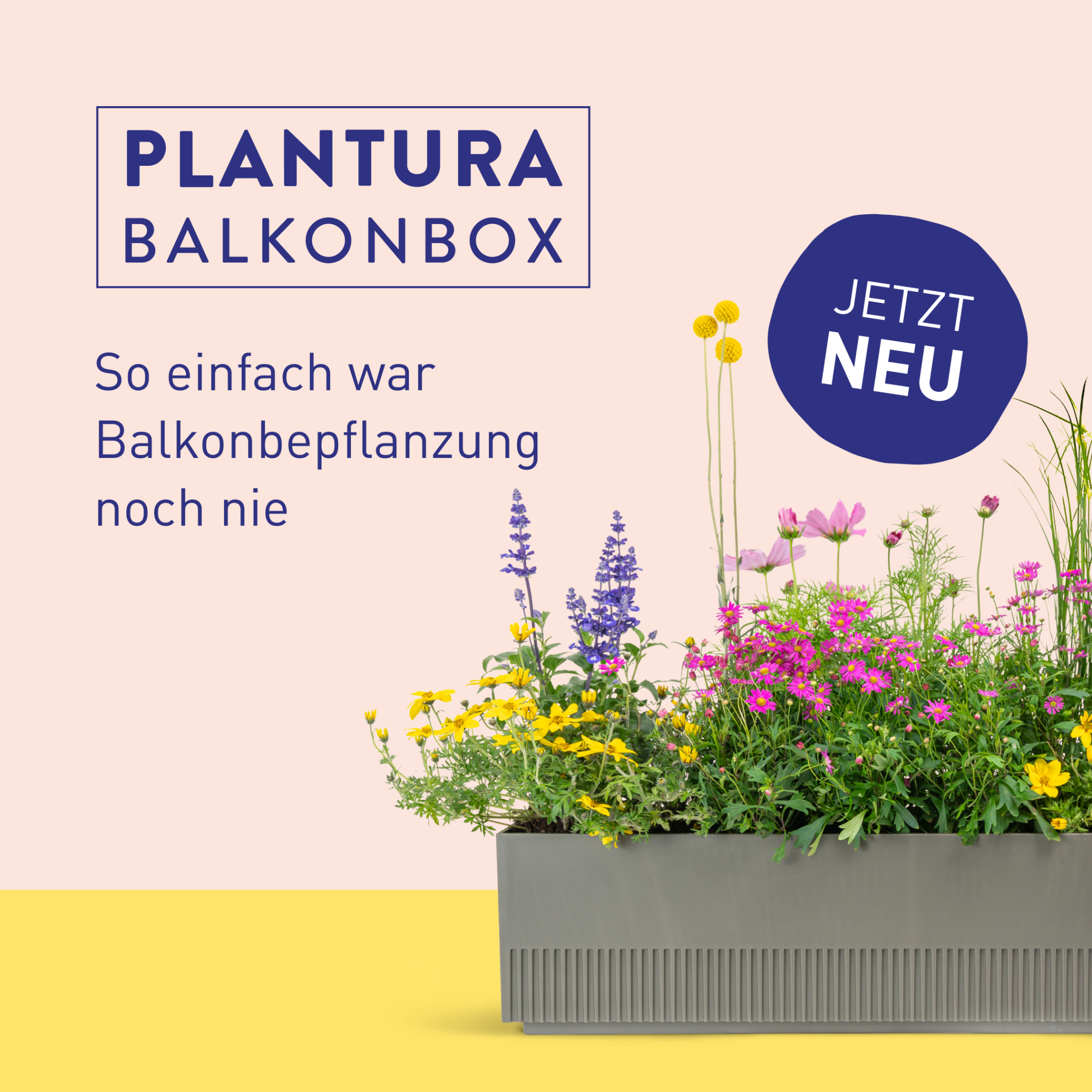 Plantura Facebook ad