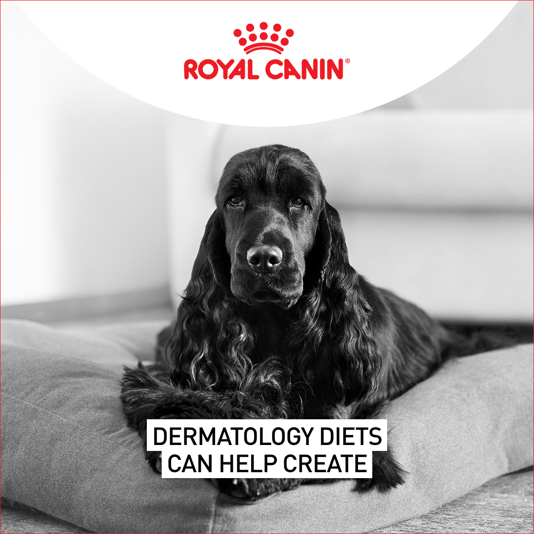 Royal Canin Facebook ad