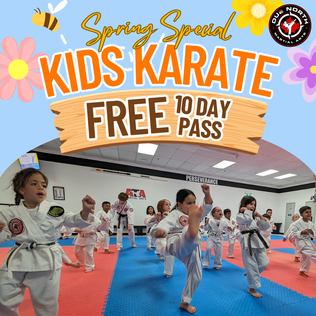 Due North Martial Arts Facebook ad: Spring Into Confidence, FREE 10-Day Pass!