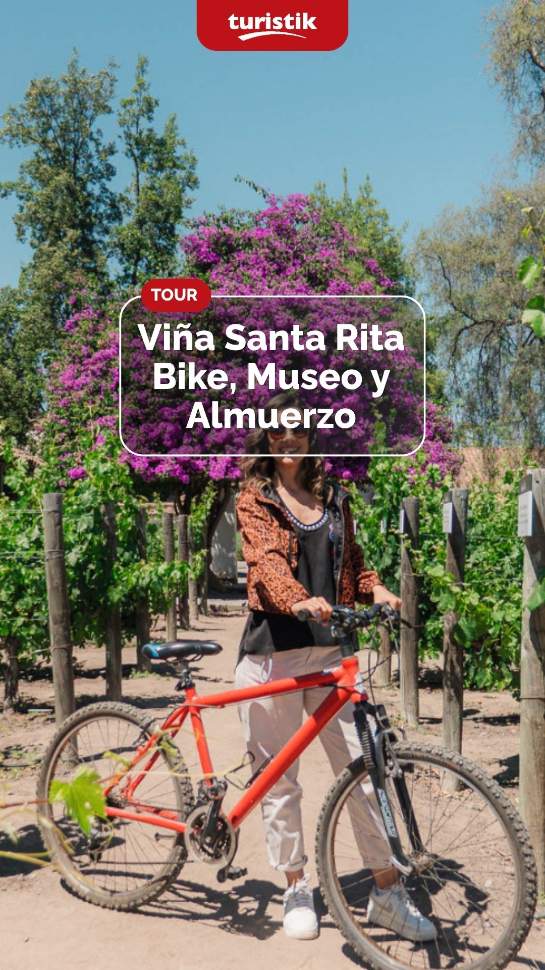 Turistik Facebook ad: Viña Santa Rita Full Experience