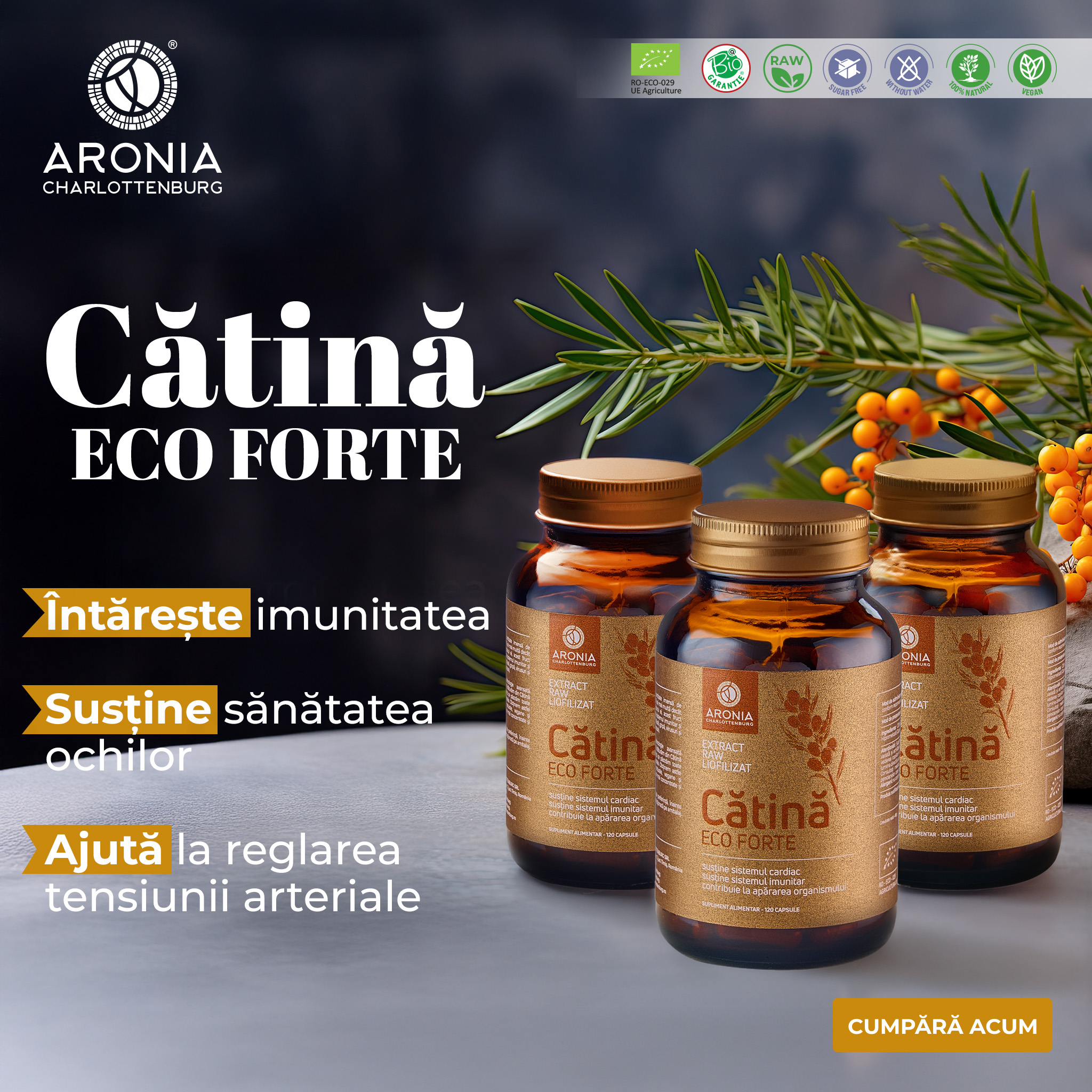 Aronia Charlottenburg Facebook ad