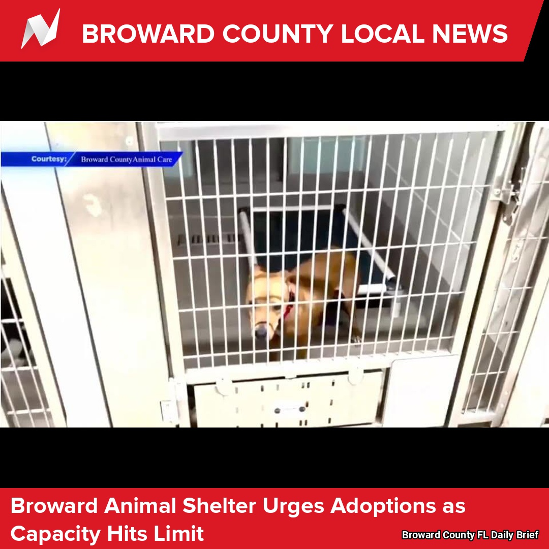 Broward County, FL Facebook ad: NewsBreak: Local News & Alerts