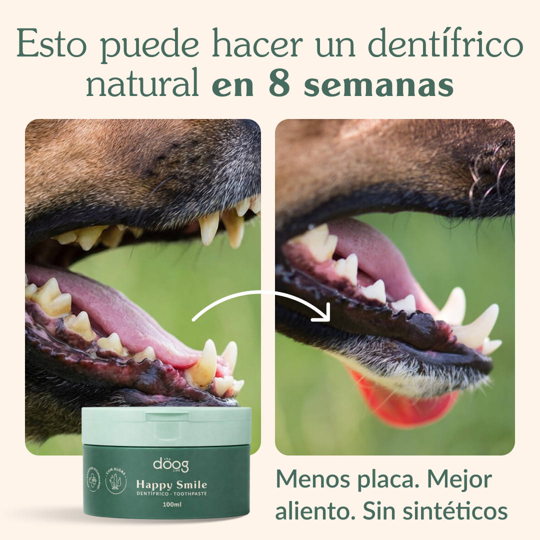 The Doog Life Facebook ad: Tu perro lo pide solo