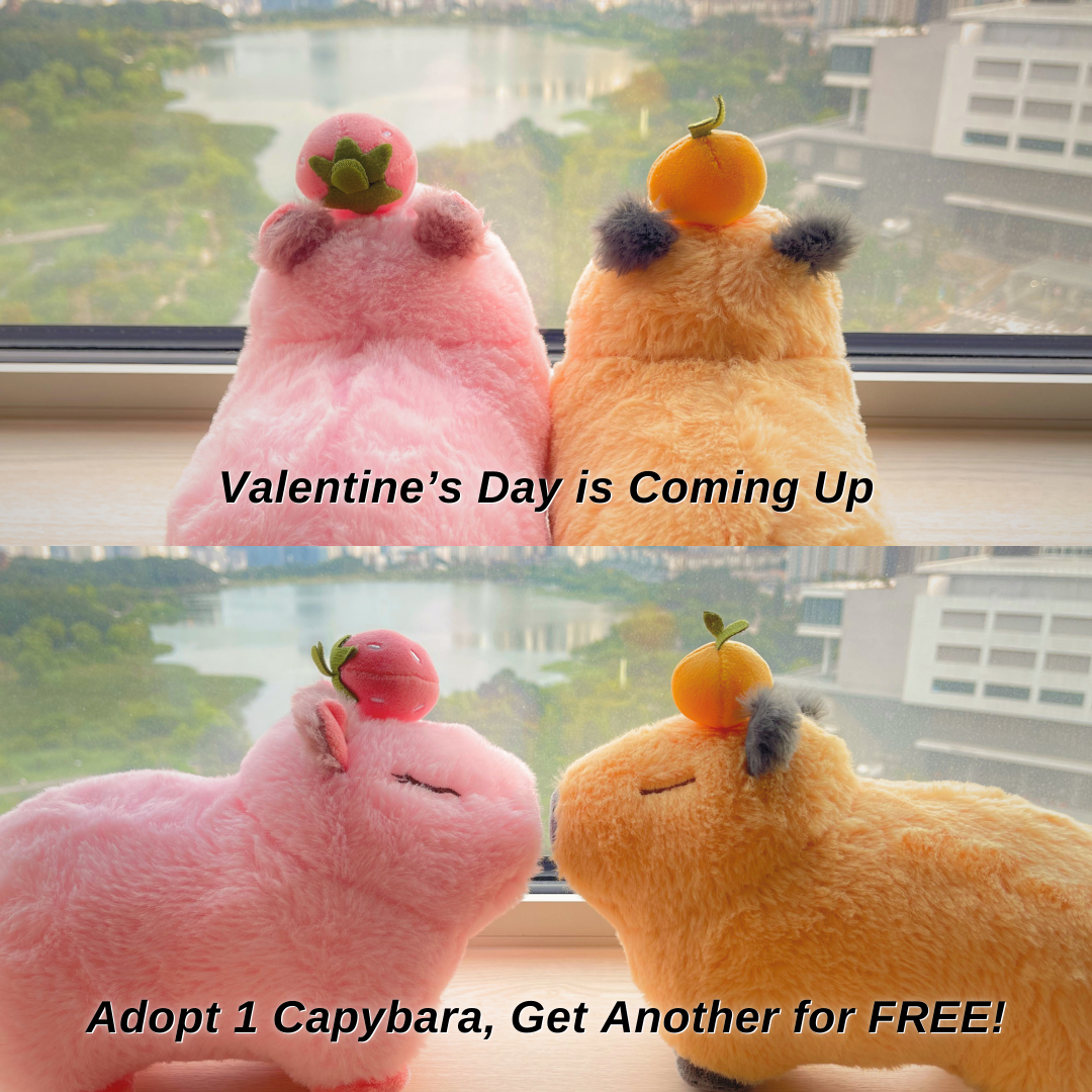 CAPY ERA Facebook ad