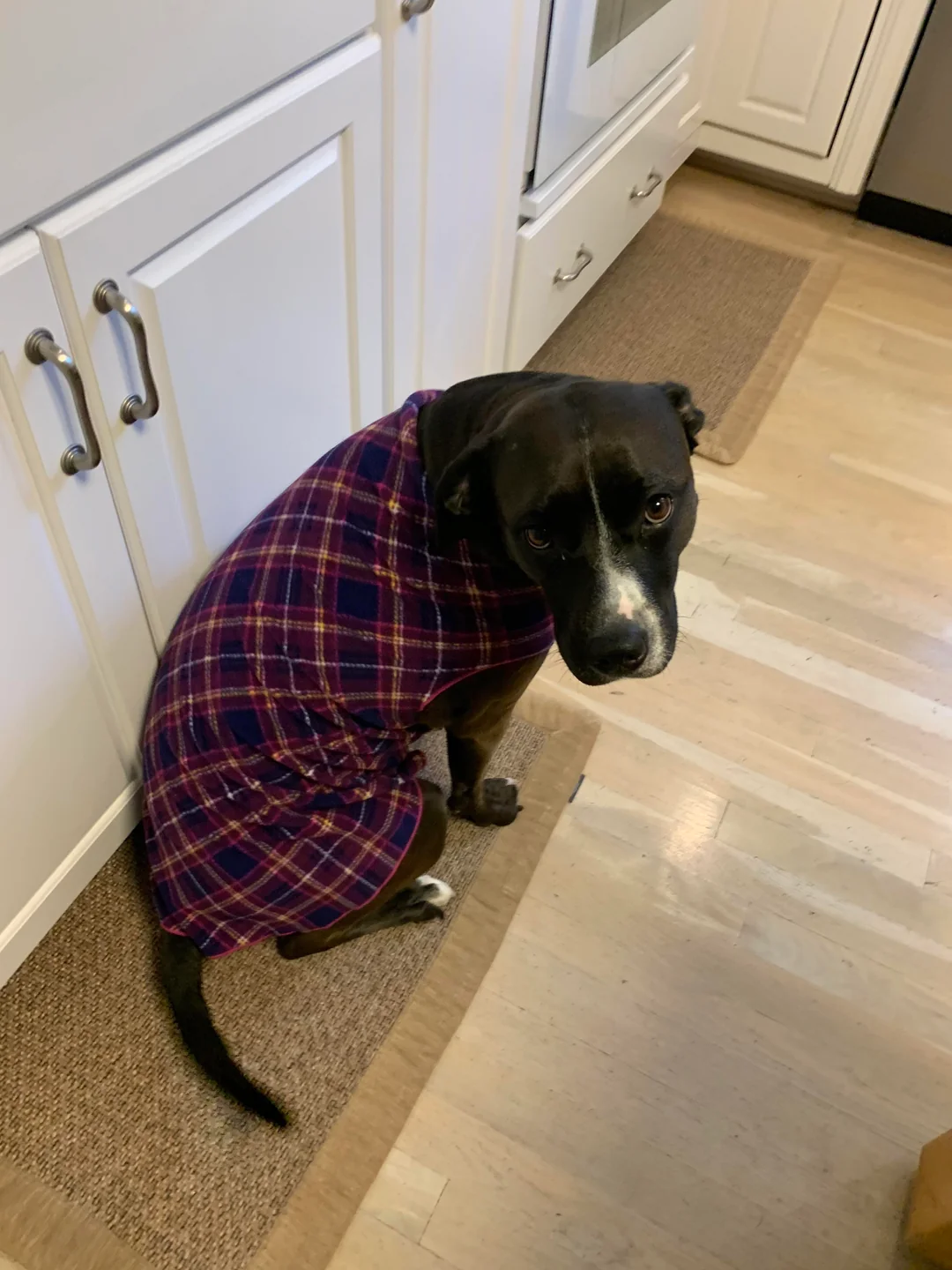 Paws & Care Vet Facebook ad: Veternarian Speaks The Truth.