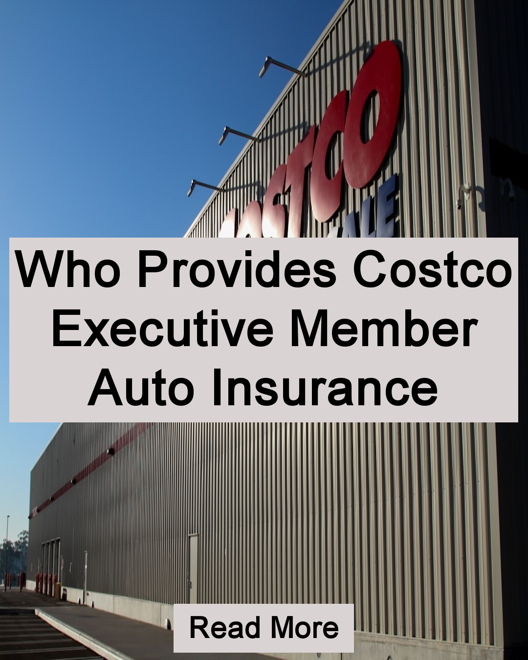 The Mega Digest Facebook ad: Who Provides Costco Executive Member Auto Insurance Read…
