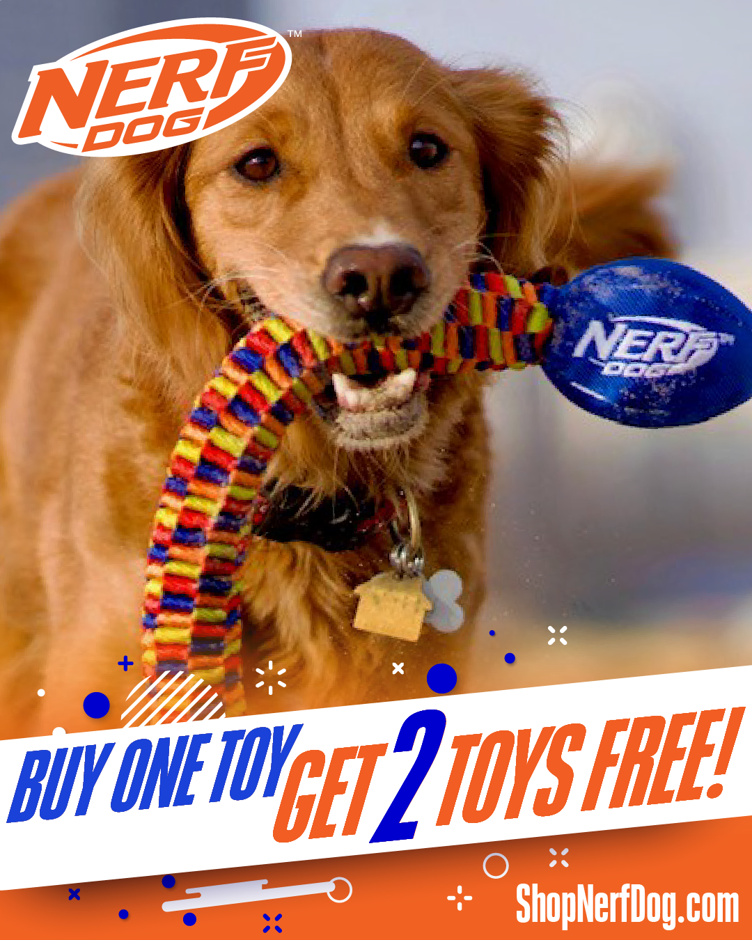 Nerf Dog Facebook ad: Buy 1 Toy, Get 2 Toys FREE