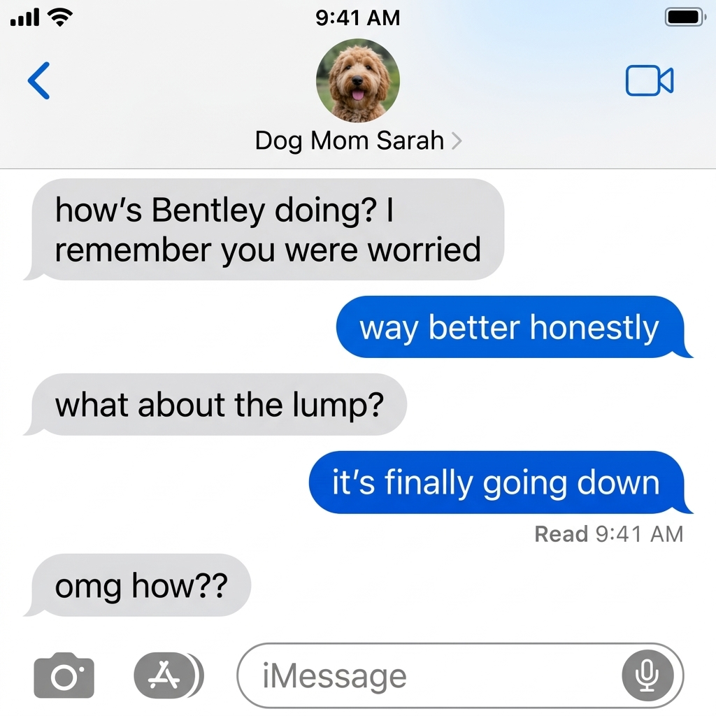 Dog Health Tips Facebook ad