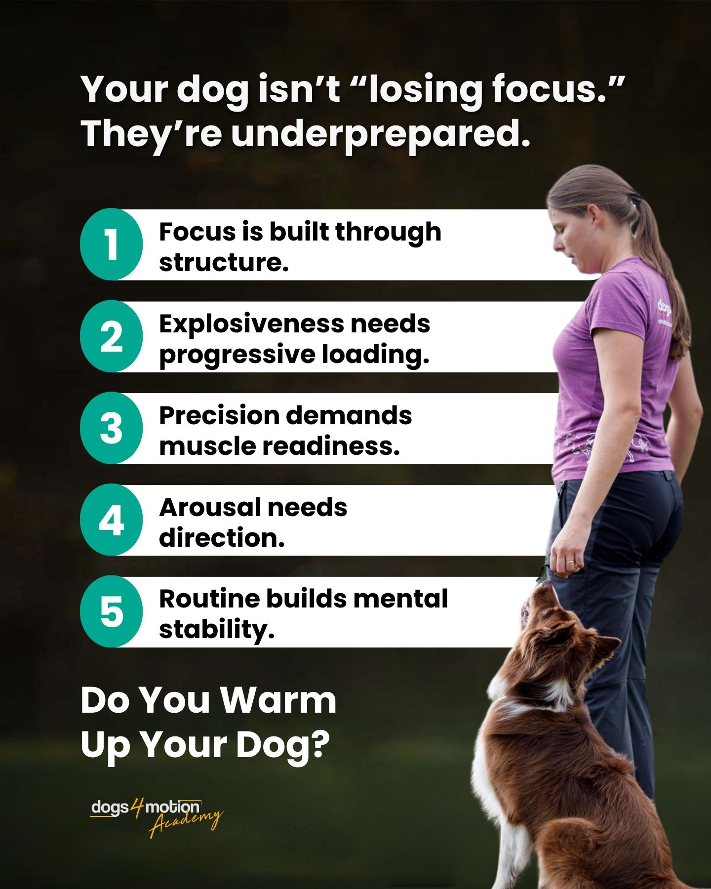 Dogs4motion Academy for active dogs Facebook ad
