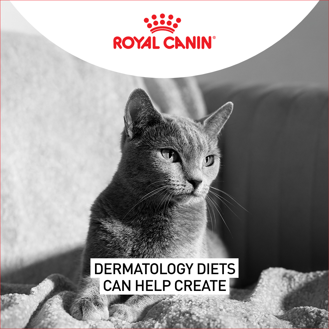 Royal Canin Facebook ad
