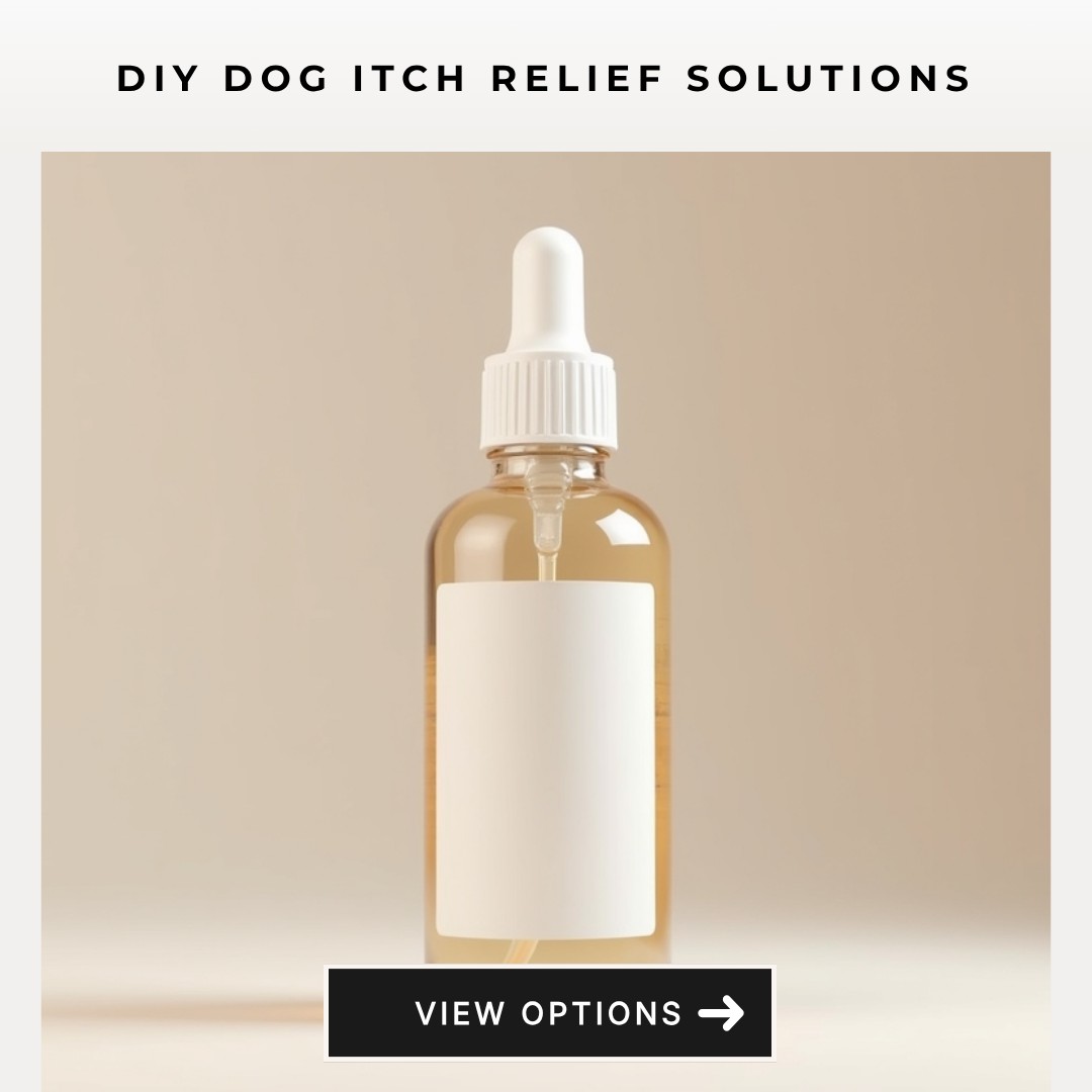 SearchArena Circuit Facebook ad: Discover Soothing Dog Itch Relief Ideas.