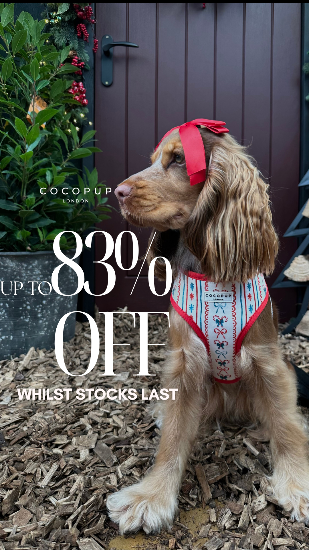 Cocopupuk Facebook ad