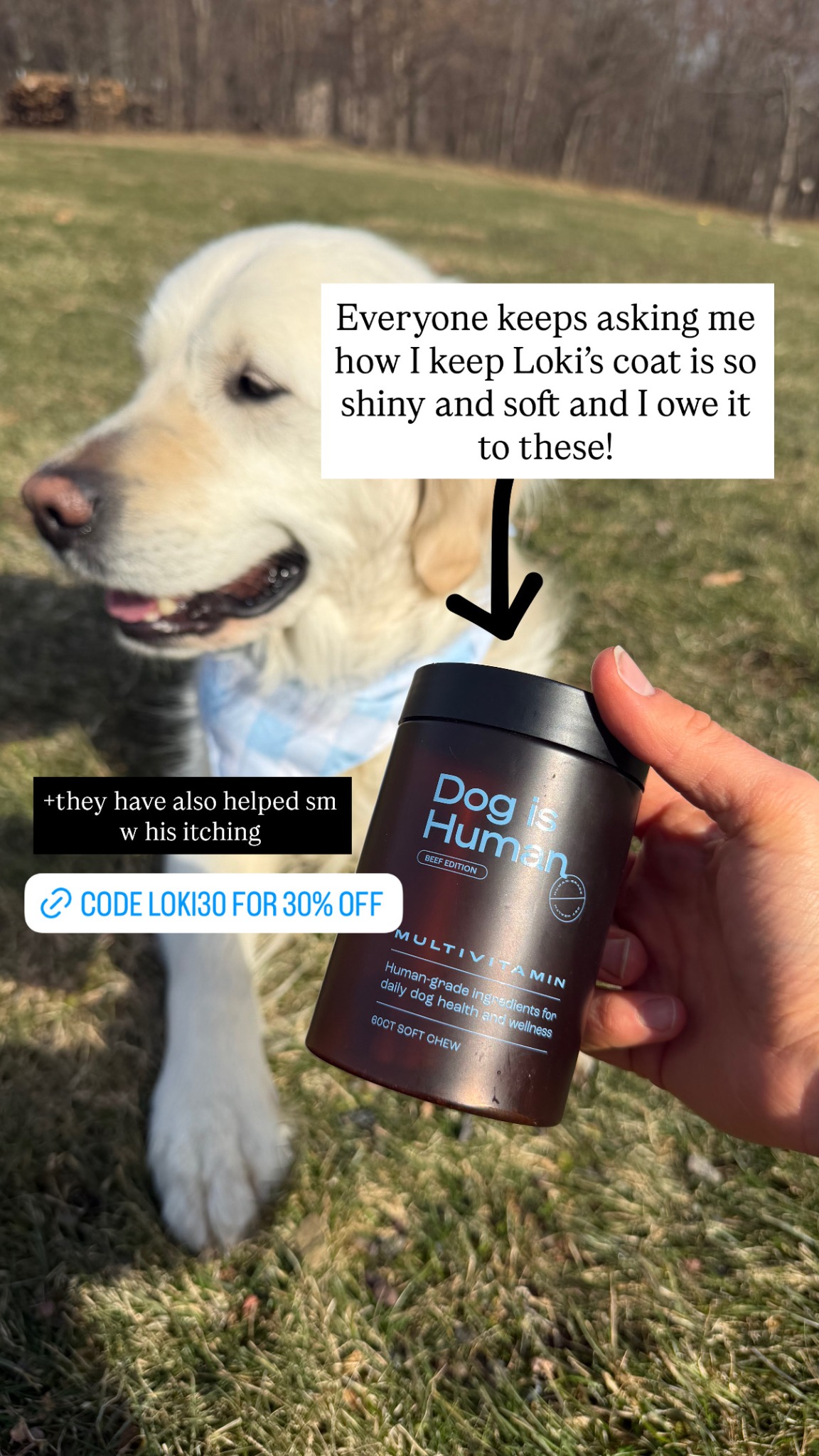 Dog is Human Facebook ad